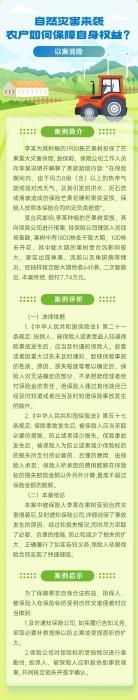 自然災(zāi)害來襲，農(nóng)戶如何保障自身權(quán)益？